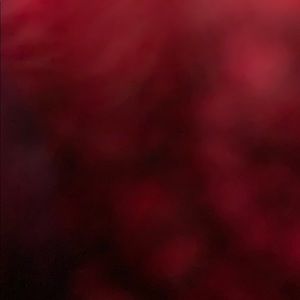 Meet your Posher, Briana